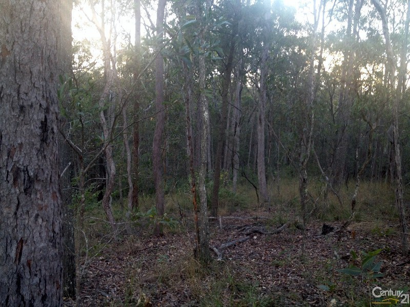 135 Hipathites Road, Samsonvale QLD 4520