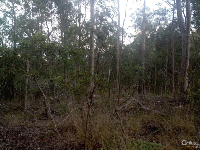 135 Hipathites Road, Samsonvale QLD 4520