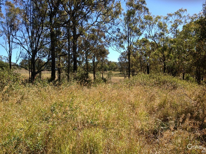 Lot 117 Lillian Avenue, Ellesmere QLD 4610