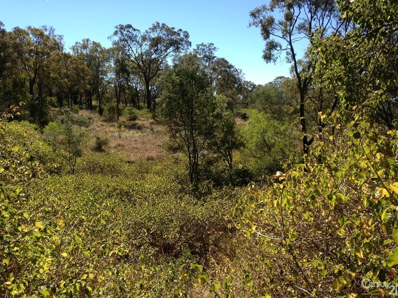 Lot 117 Lillian Avenue, Ellesmere QLD 4610