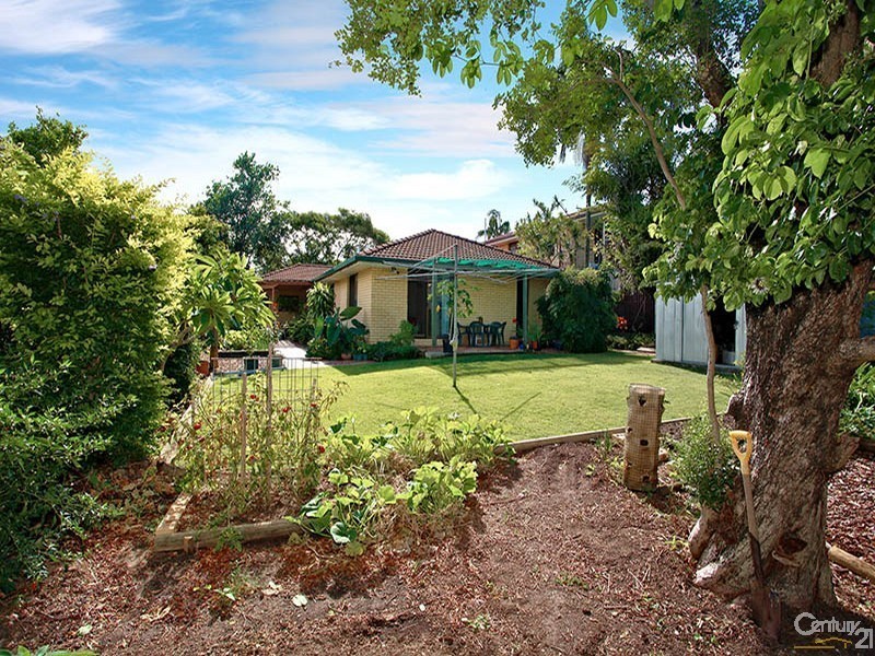 3 Comino Street, Strathpine QLD 4500