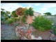 42 Affleck Avenue, Petrie QLD 4502