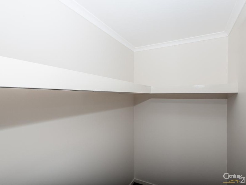 81 Tattler Street, Mango Hill QLD 4509