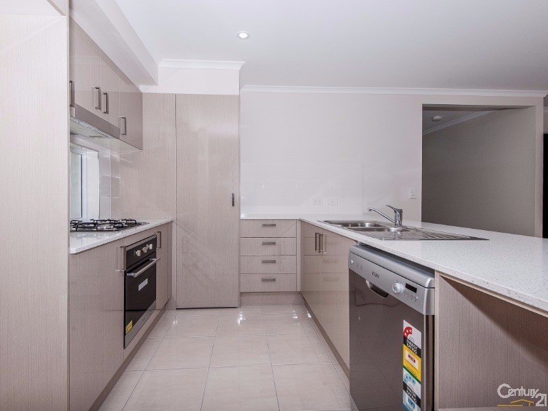 43 Tattler Street, Mango Hill QLD 4509