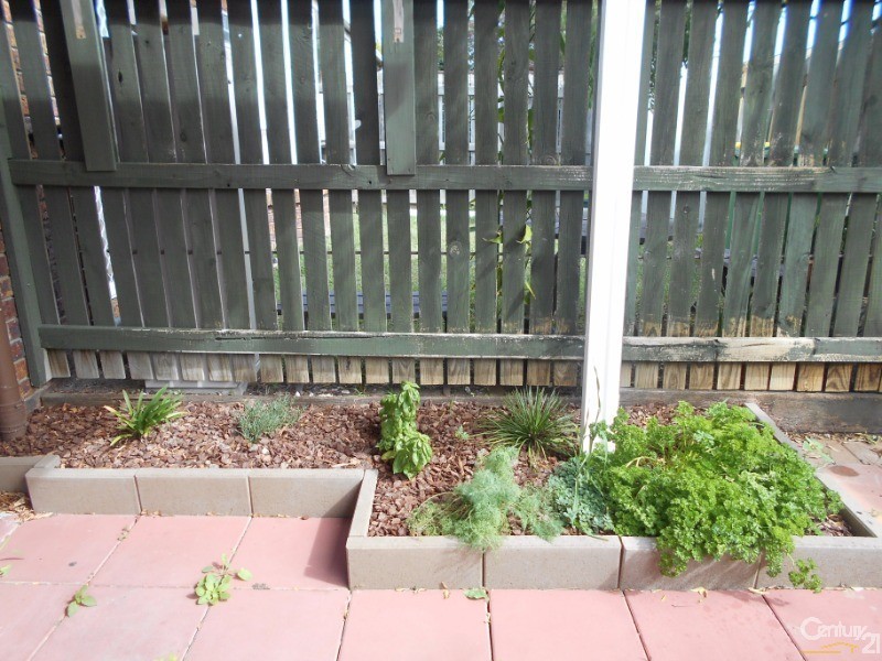 11 Bakarnis Court, Brendale QLD 4500