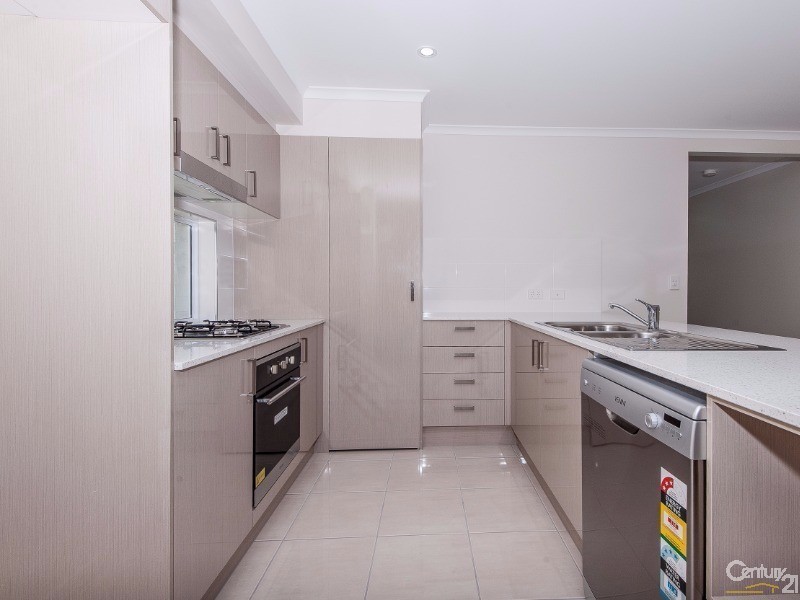 43 Tattler Street, Mango Hill QLD 4509