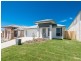 43 Tattler Street, Mango Hill QLD 4509