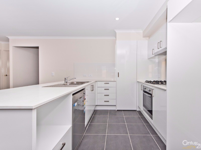 17 Saracen Street, Warner QLD 4500