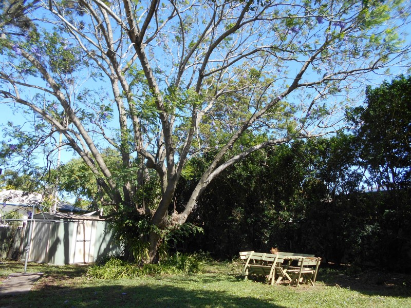 39 Francis Road, Bray Park QLD 4500