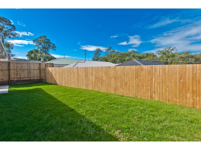 77 Tattler Street, Mango Hill QLD 4509