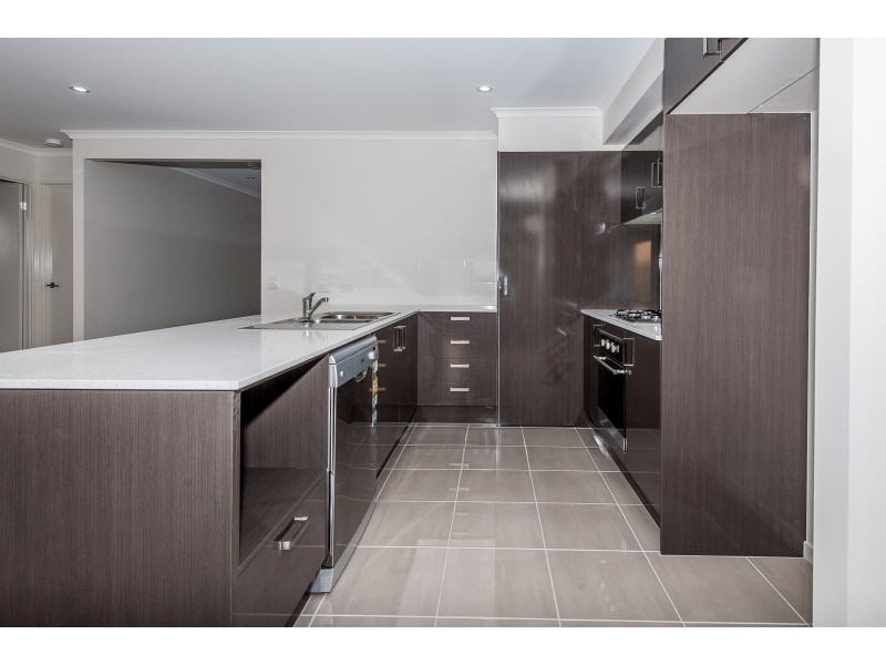 49 Challenor Street, Mango Hill QLD 4509