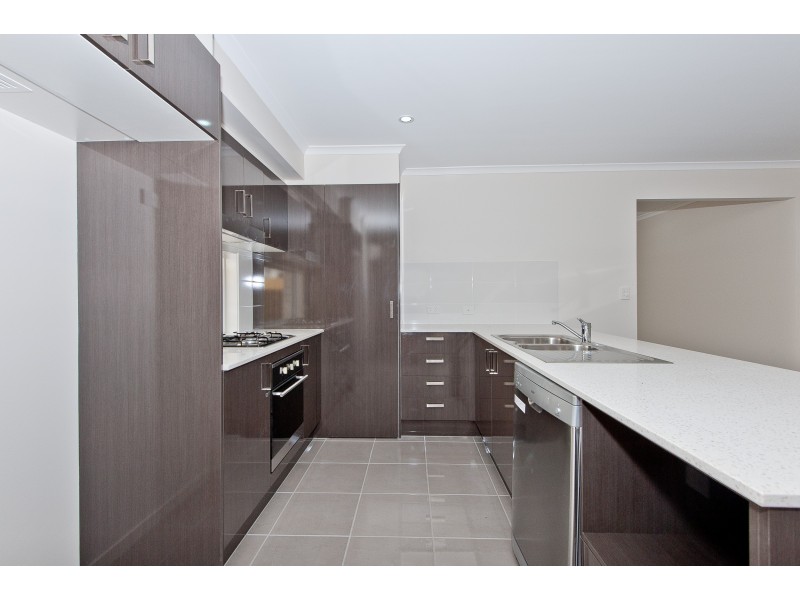 61 Tattler Street, Mango Hill QLD 4509