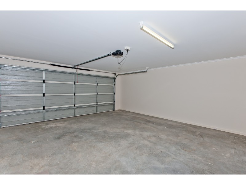 61 Tattler Street, Mango Hill QLD 4509