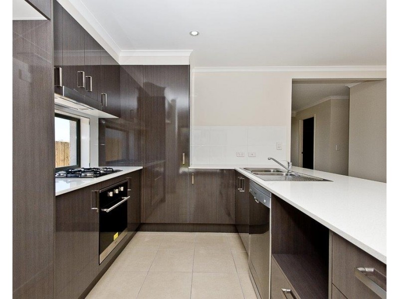 59 Tattler Street, Mango Hill QLD 4509
