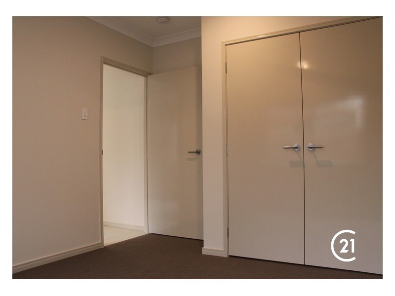 55 Gilmour Street, Mango Hill QLD 4509