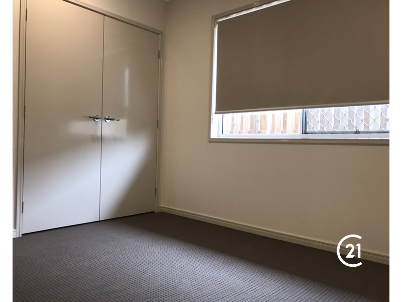 55 Gilmour Street, Mango Hill QLD 4509