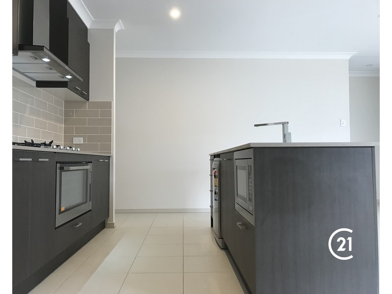 55 Gilmour Street, Mango Hill QLD 4509