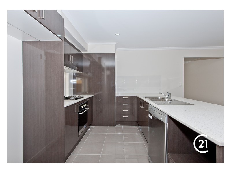 61 Tattler Street, Mango Hill QLD 4509