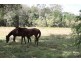 Joyner QLD 4500
