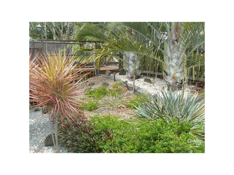 64 Dahlia Street, Cannon Hill QLD 4170