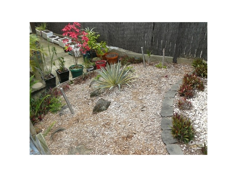 64 Dahlia Street, Cannon Hill QLD 4170