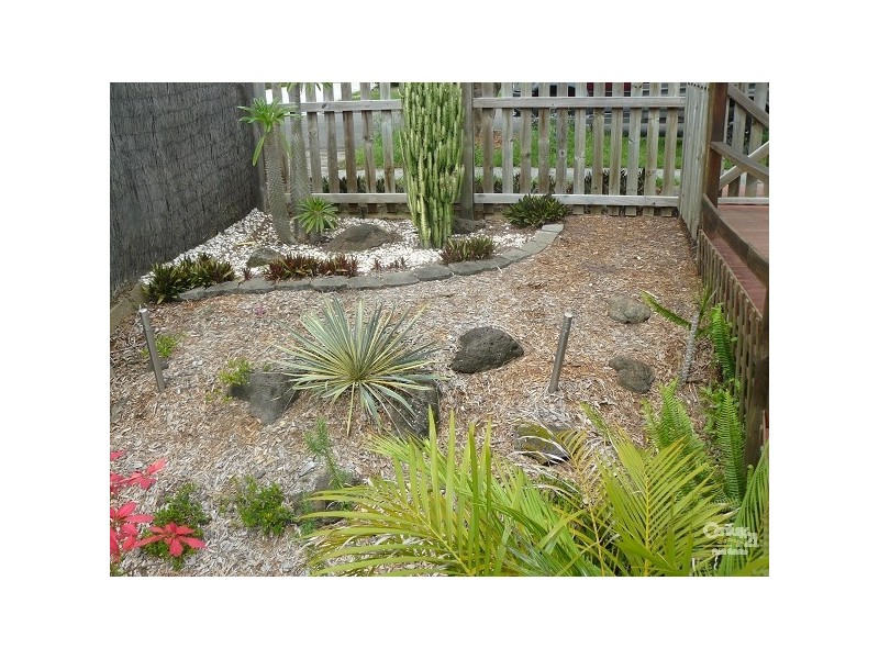 64 Dahlia Street, Cannon Hill QLD 4170