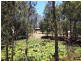 12 Forest Hill Dve, Maroochy River QLD 4561