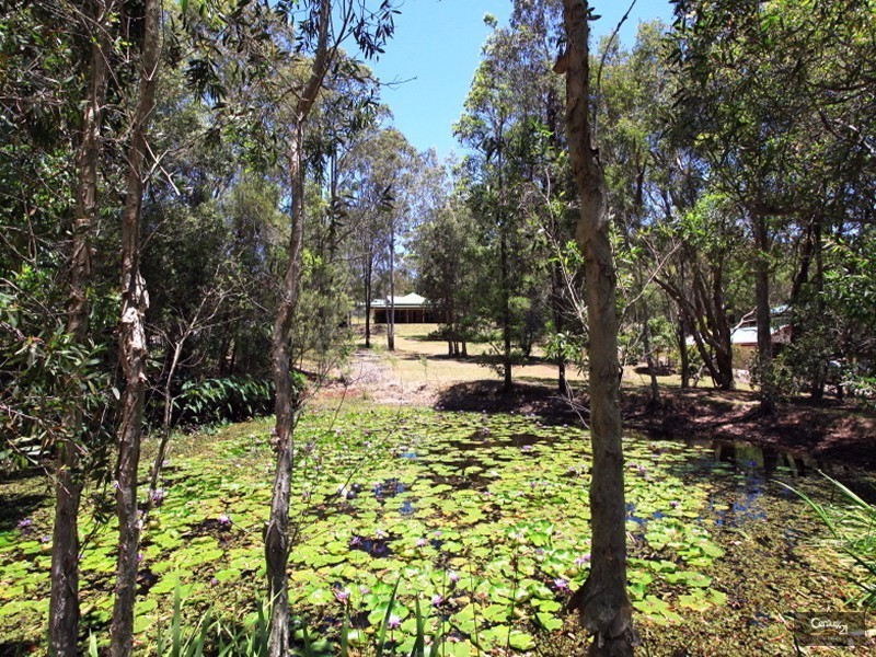 12 Forest Hill Dve, Maroochy River QLD 4561