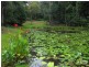 198 Brewers Road, Cooran QLD 4569