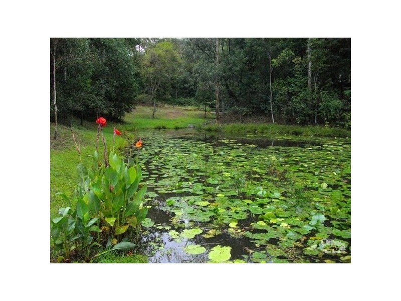 198 Brewers Road, Cooran QLD 4569