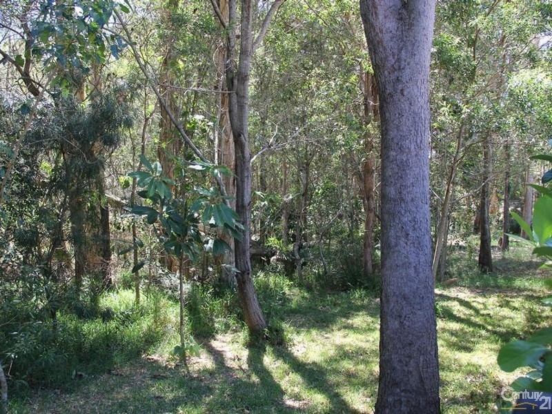 4 Elderberry Court, Twin Waters QLD 4564