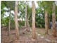 12 Starfish Way, Twin Waters QLD 4564