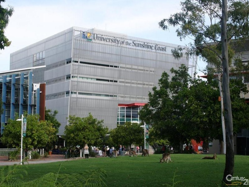 14 Marsalis Street, Sippy Downs QLD 4556