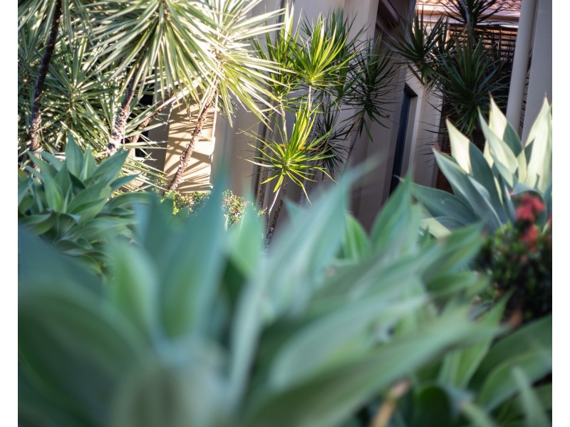 8 Peatling Lane, Twin Waters QLD 4564