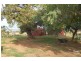 1149 Ridgelands Road, Alton Downs QLD 4702
