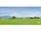 1149 Ridgelands Road, Alton Downs QLD 4702
