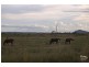 1149 Ridgelands Road, Alton Downs QLD 4702