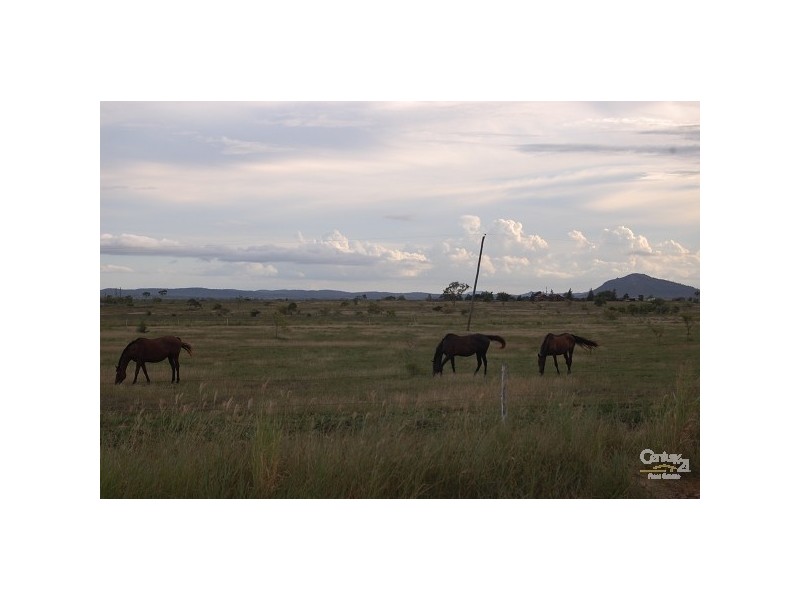 1149 Ridgelands Road, Alton Downs QLD 4702