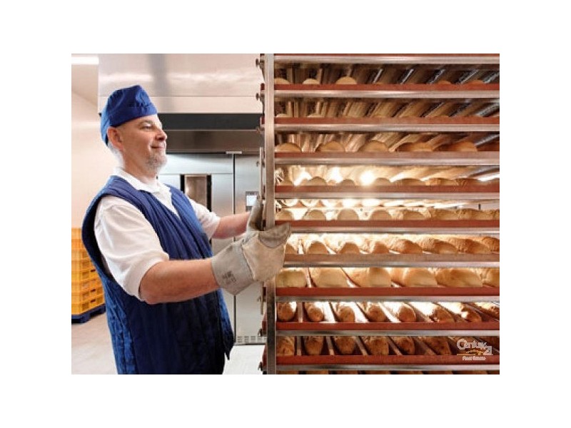 384 French Avenue, Frenchville QLD 4701