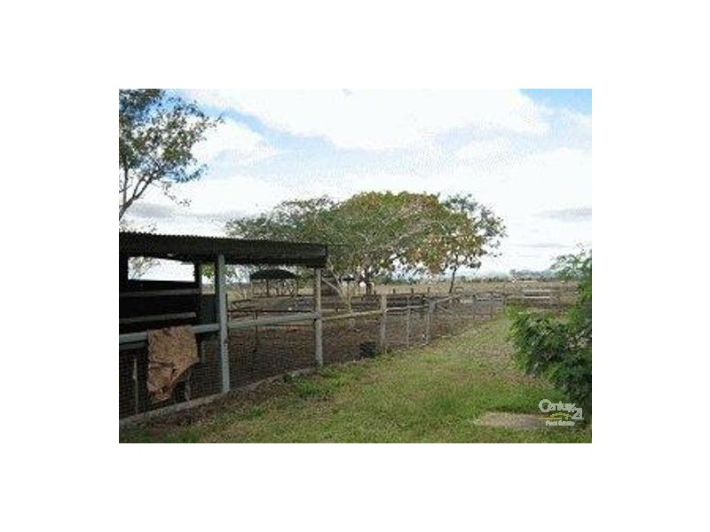 1273 Ridgelands Road, Alton Downs QLD 4702