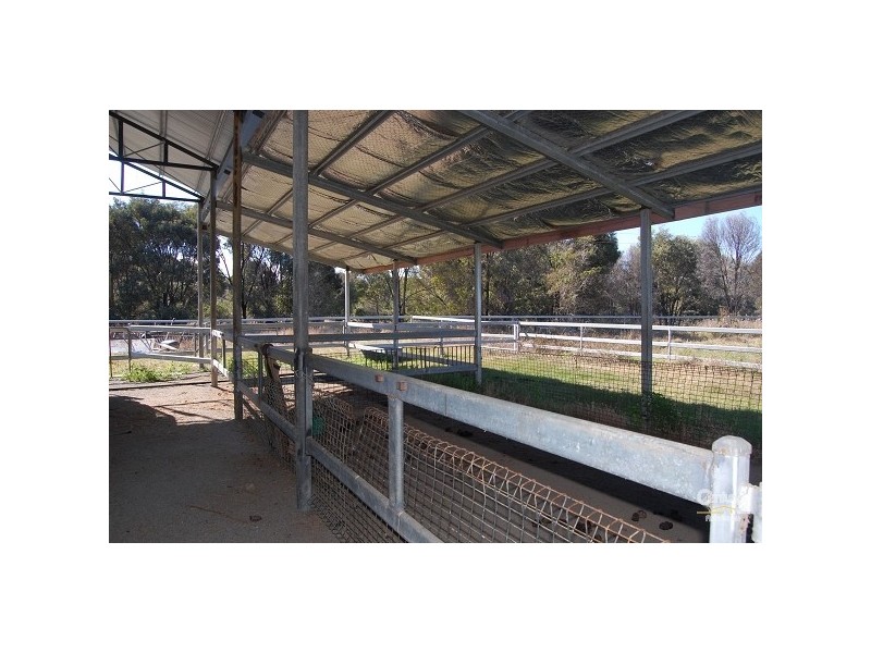 Alton Downs QLD 4702