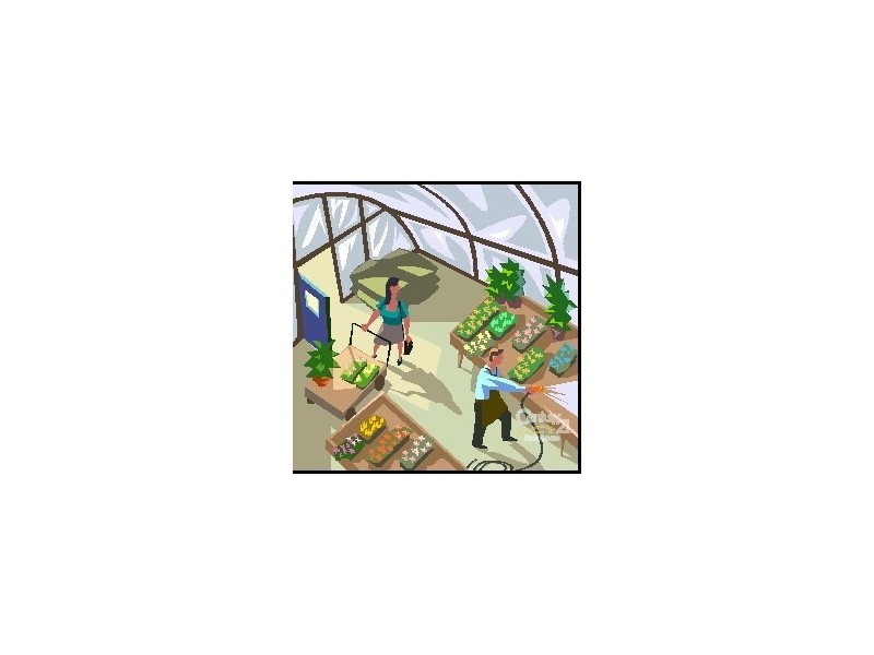 240 Lion Creek Road, Wandal QLD 4700