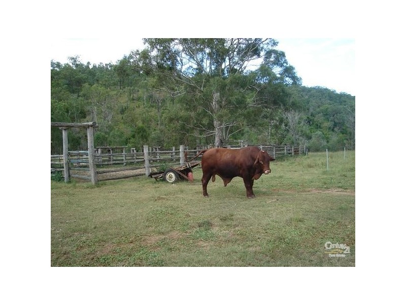 Boulder Creek QLD 4714
