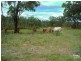 Boulder Creek QLD 4714