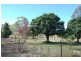 230 Cawarral Road, Cawarral QLD 4702