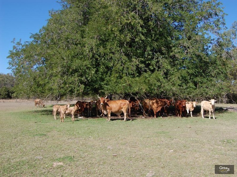 30 Duncan Road, Marmor QLD 4702