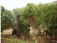 Barlows Hill QLD 4703