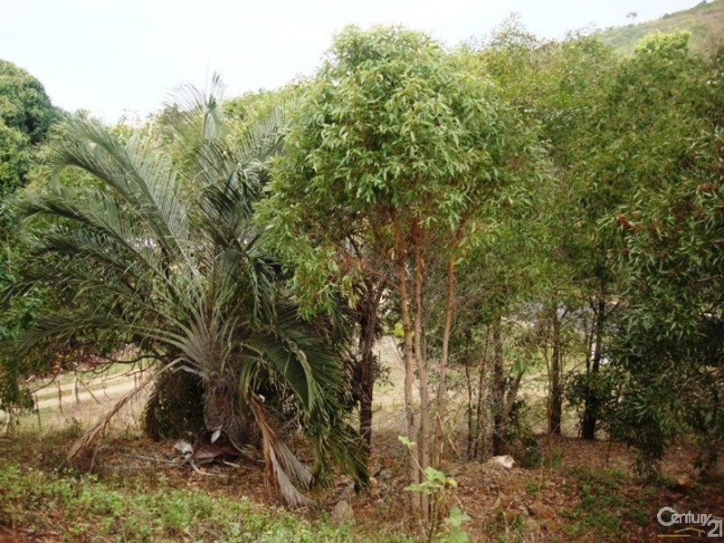 Barlows Hill QLD 4703
