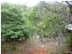 Barlows Hill QLD 4703