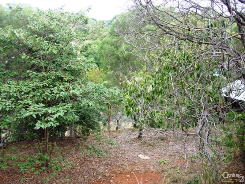 Barlows Hill QLD 4703